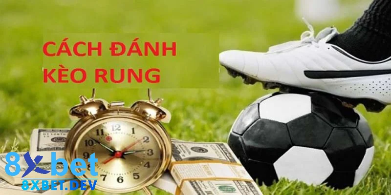 Nắm vững kiến thức cần thiết khi bắt kèo rung là gì