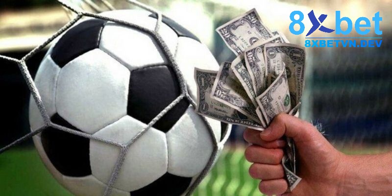 Tìm hiểu các thông tin liên quan đến trận đấu kỹ càng