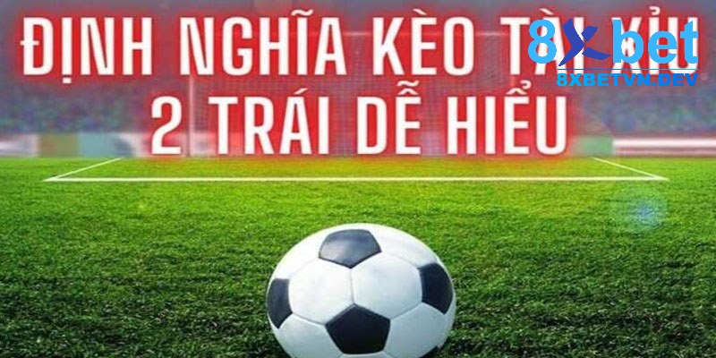 Giới thiệu về kèo tài xỉu 2 dễ hiểu